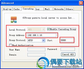 软件合法使用与互联网服务须知 拒绝盗版，保护网络安全